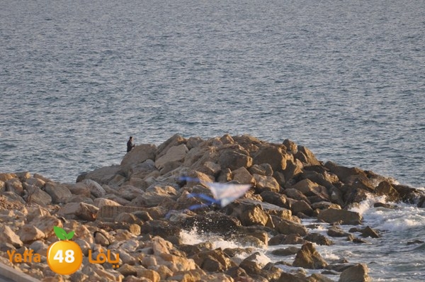 tayarat waraq (14).JPG